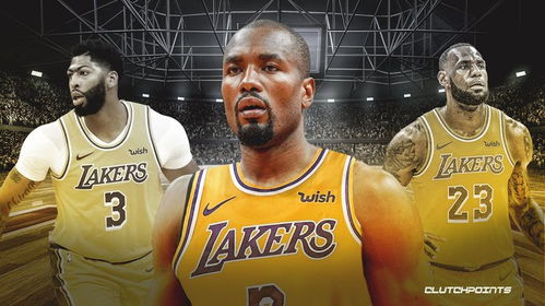 湖人内线补强陷被动 伊巴卡汤普森成备选，麦基魔兽去留引哄抢